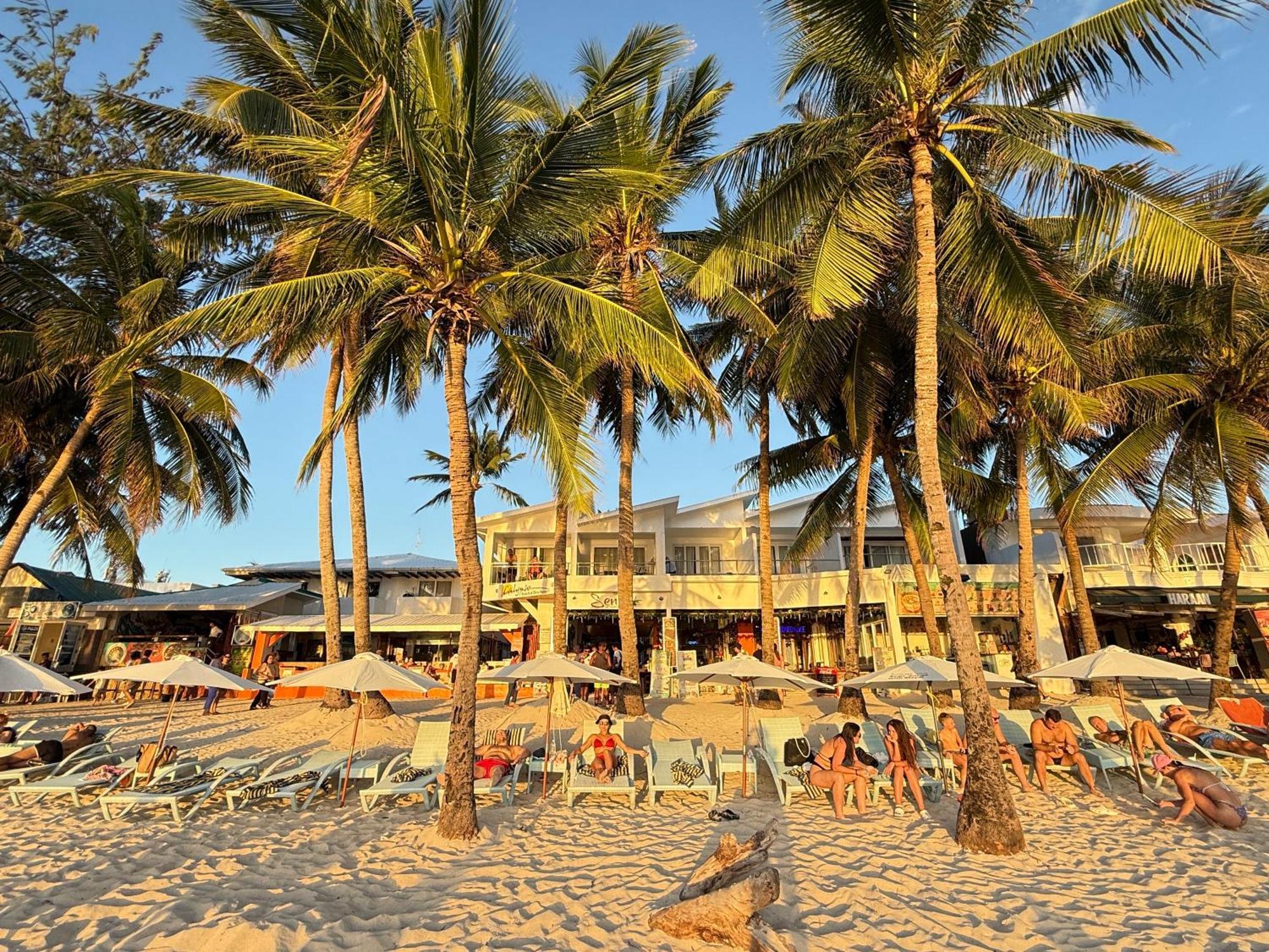 Calypso Beach And Dive Resort Manoc-Manoc Eksteriør bilde