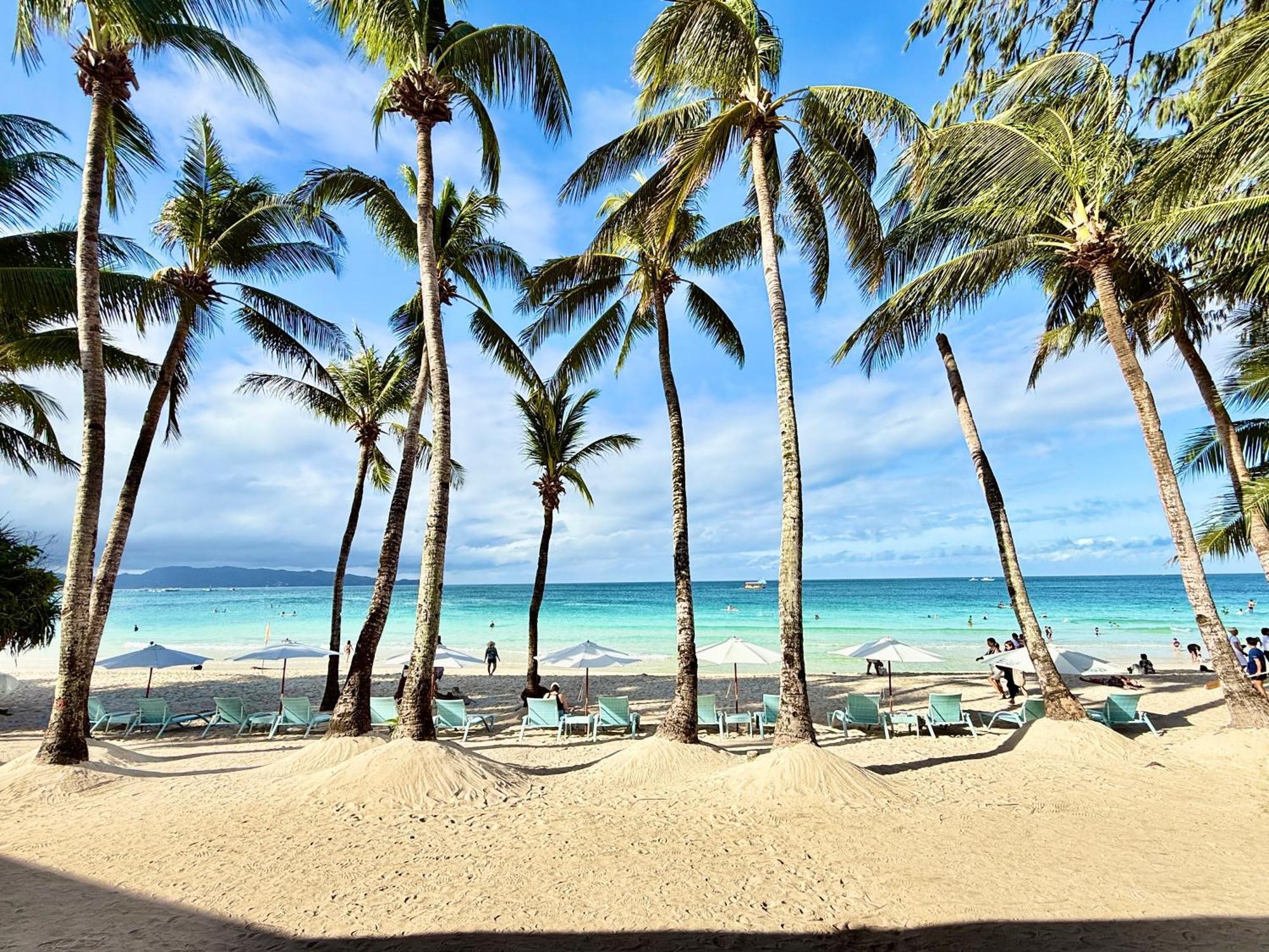 Calypso Beach And Dive Resort Manoc-Manoc Eksteriør bilde
